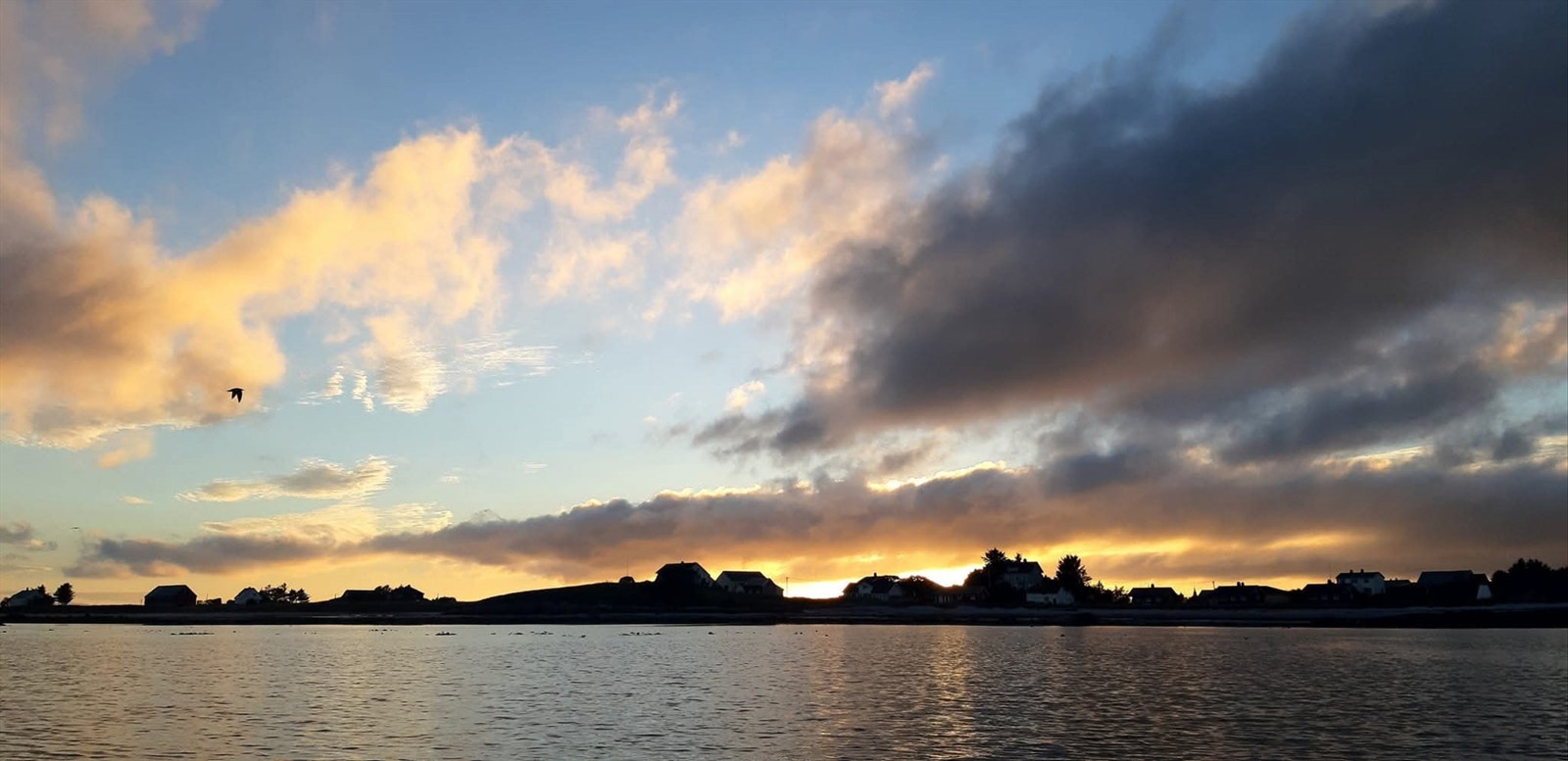 Selgers eget bilde Galleribilde