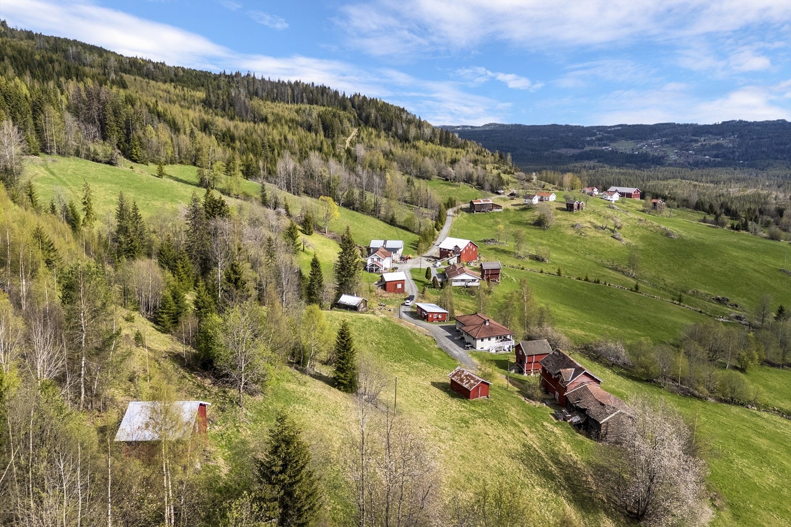 Eiendommen utgjør totalt ca 110 daa, hvorav blant annet 28 daa fulldyrka jord og 71 daa prodiktiv skog Galleribilde