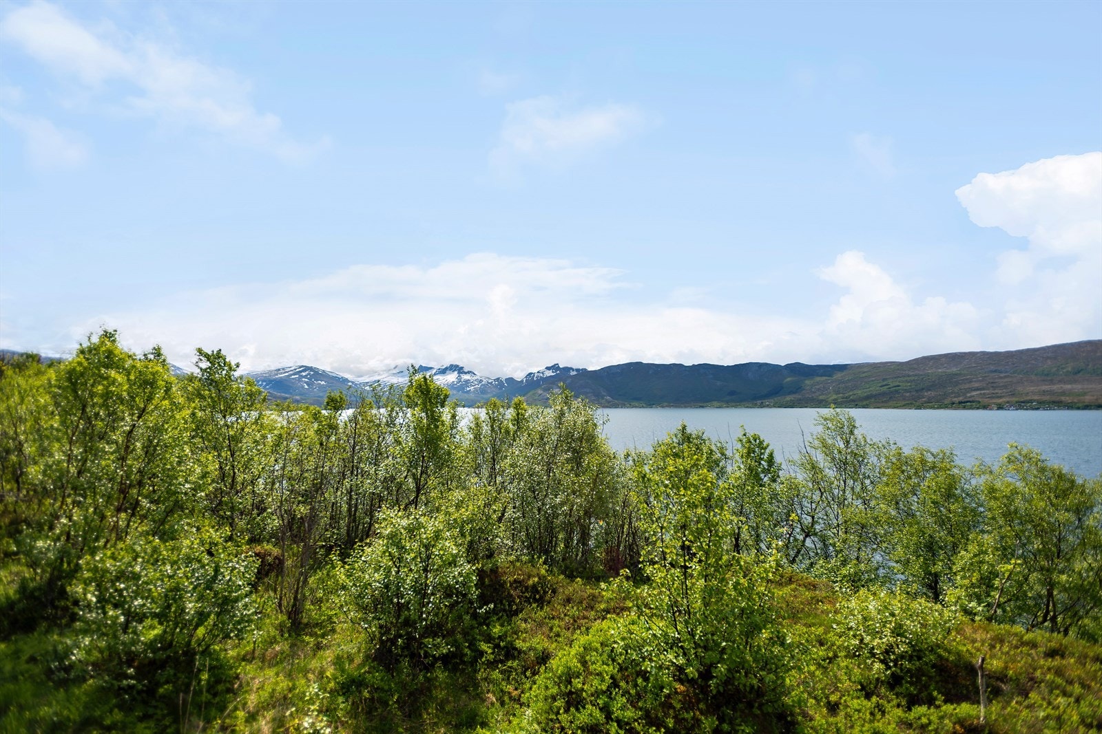 Landlig og flott beliggenhet. I Sørfjorden er det flotte turmuligheter både til lands og til vanns. Fritidsboligen ligger fint til med flott utsikt og gode solforhold. Ferge går fra Kilboghavn og til Sørfjorden Galleribilde