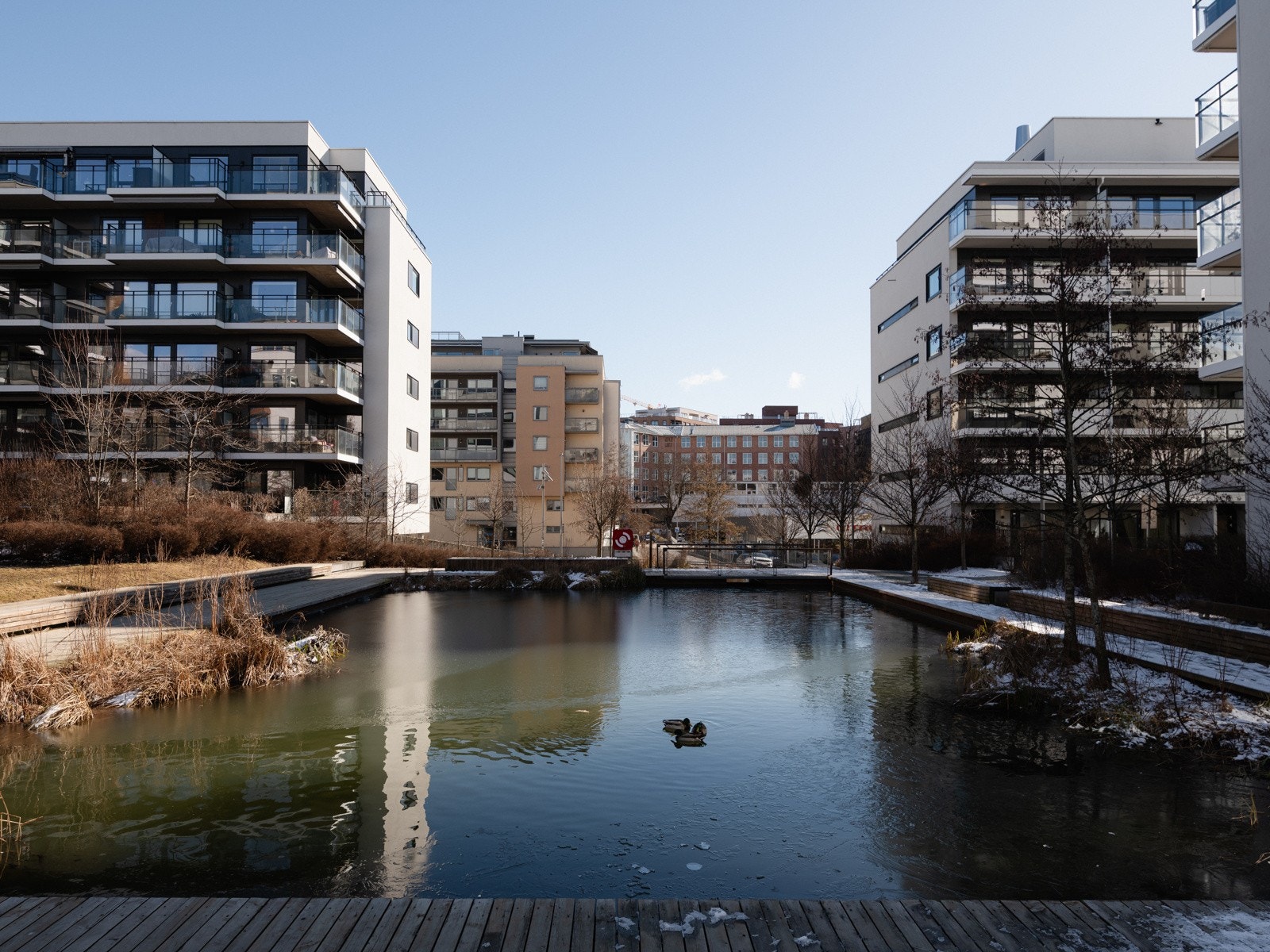 Vannspeil rett ved leiligheten Galleribilde