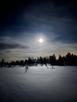 Privat bilde Galleribilde