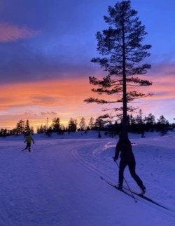 Privat bilde Galleribilde