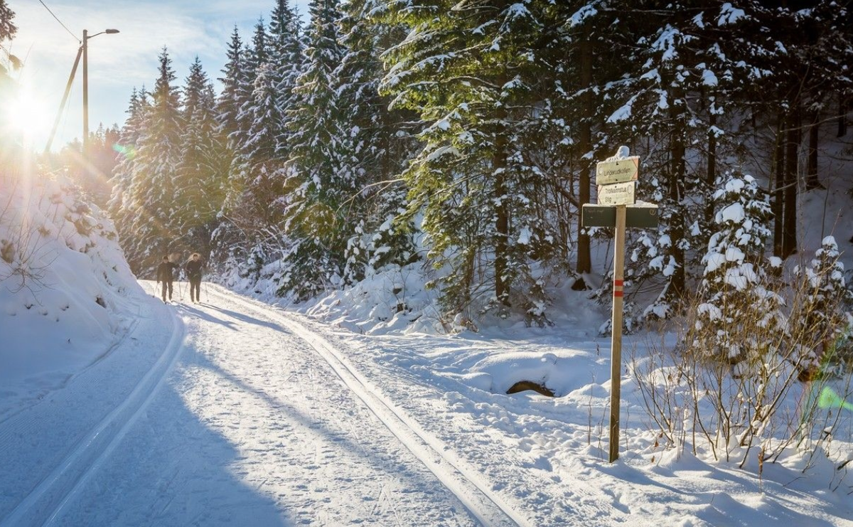 Kort vei til marka Galleribilde