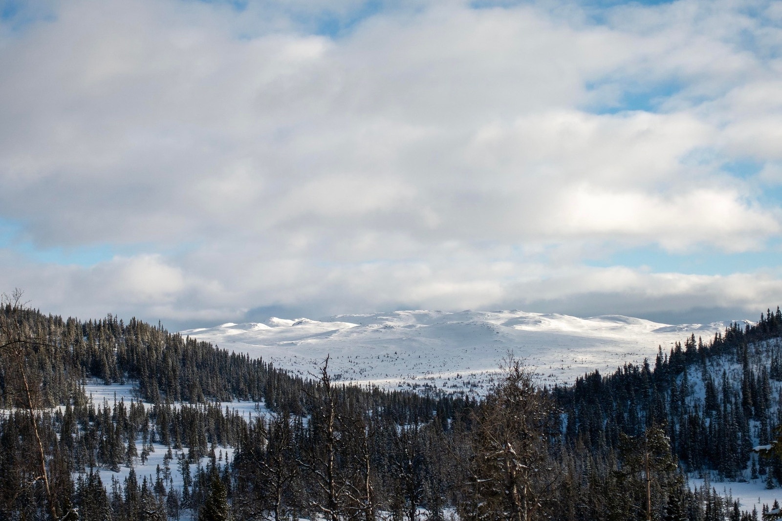 Flotte fjell i området. Galleribilde
