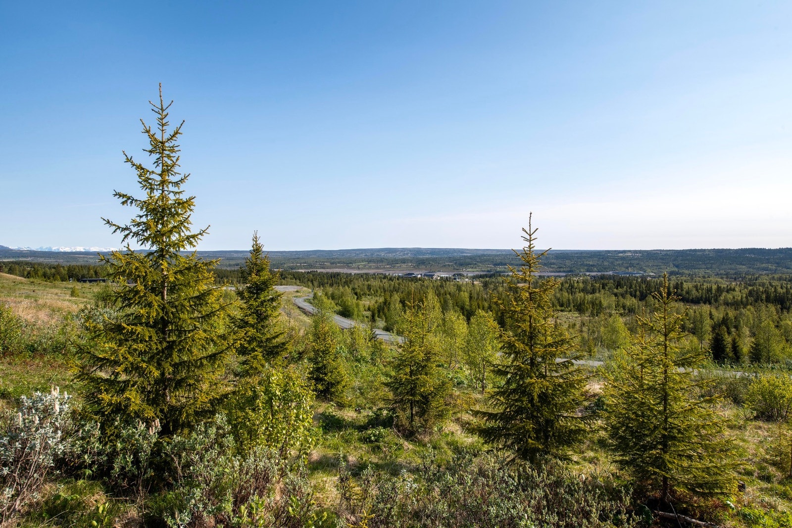 893 meter over havet. Galleribilde