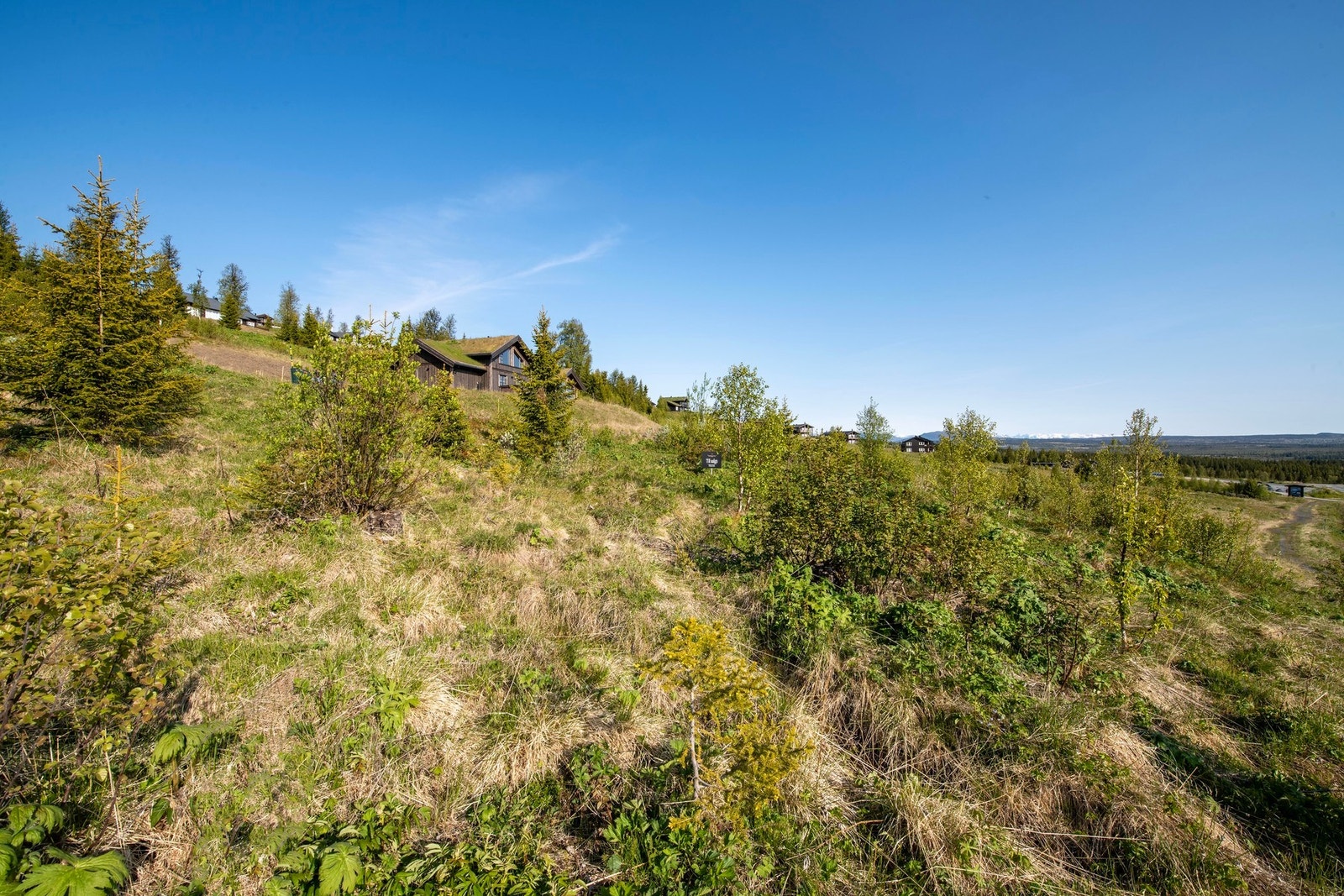 Naturskjønt område. Galleribilde