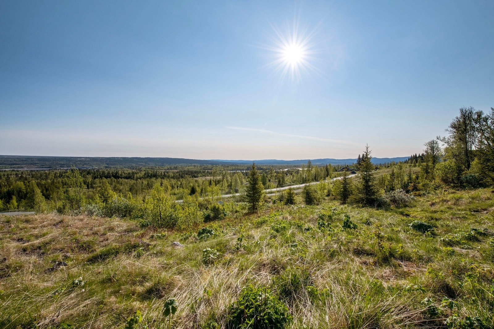 Solrikt og snøsikkert område. Galleribilde