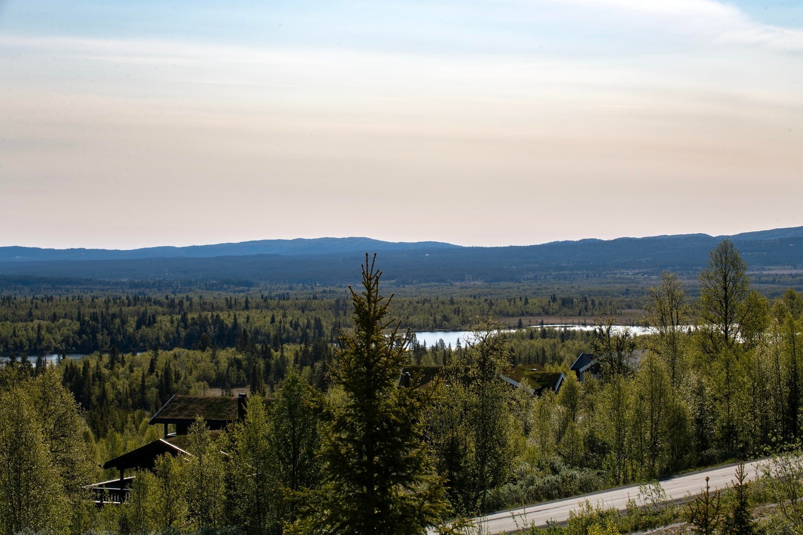 Utsikt fra tomt. Galleribilde