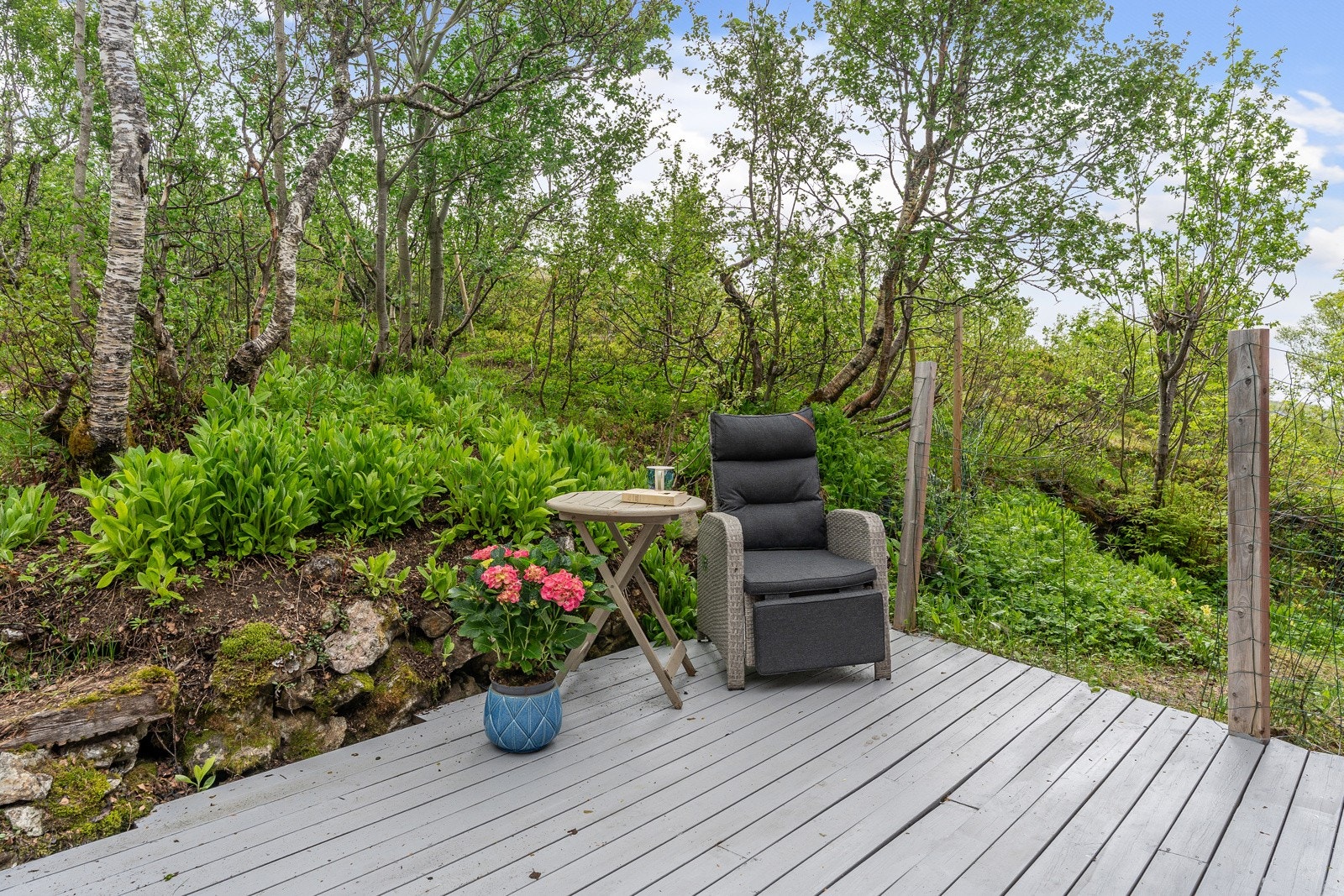 Fin plass å nyte middagen eller spenne på seg skiene om du vil ta en tur i lysløypa eller oppover Kjølen. Galleribilde