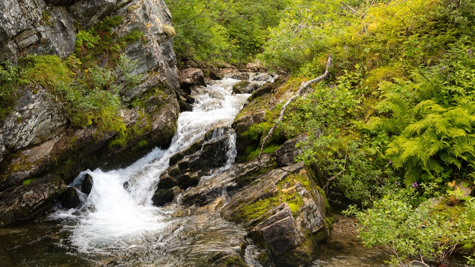 Selgers private stemningsbilde fra nærområdet. Galleribilde