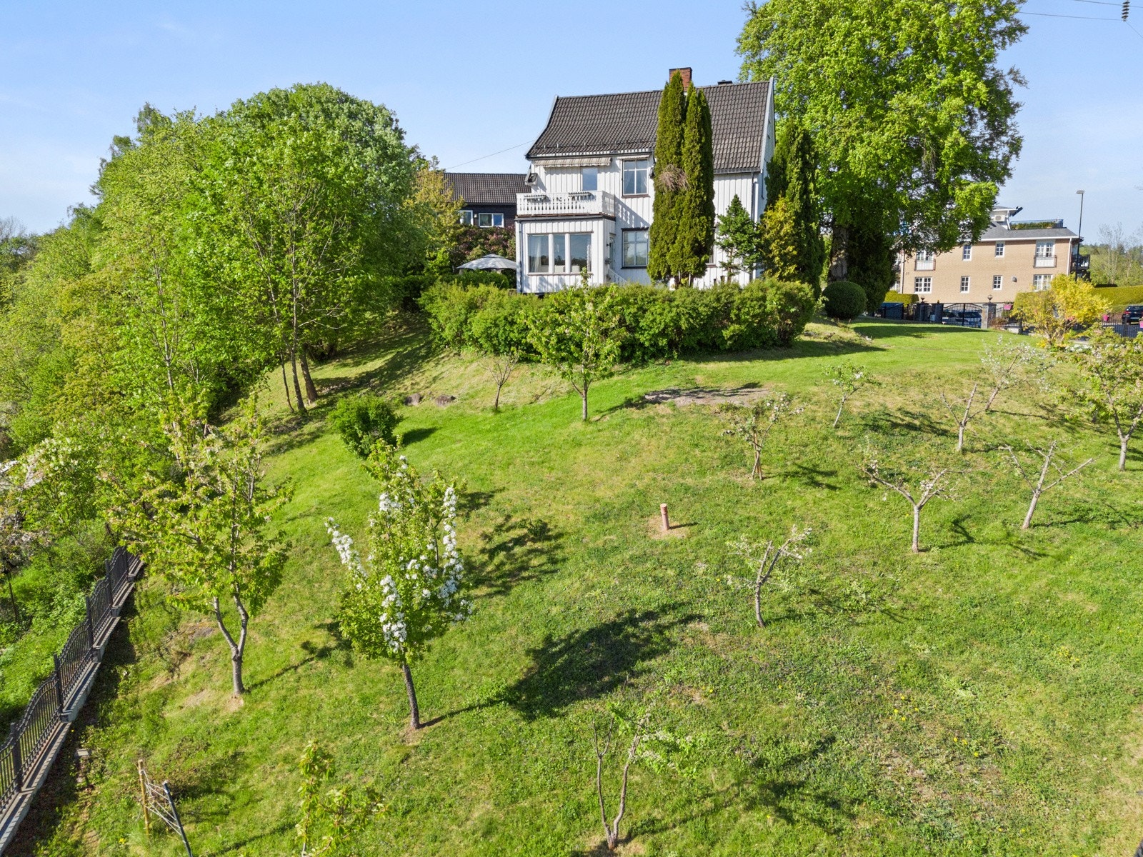 Stor og flott hage med masse beplantning Galleribilde