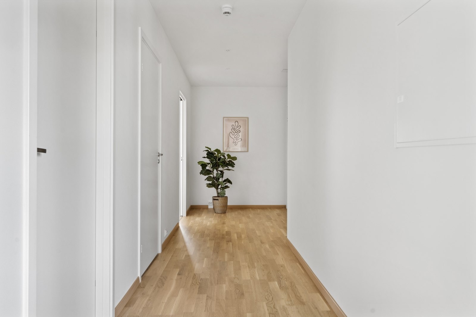 Gang med adkomst til to av soverommene, gjestetoalett og bad. Galleribilde