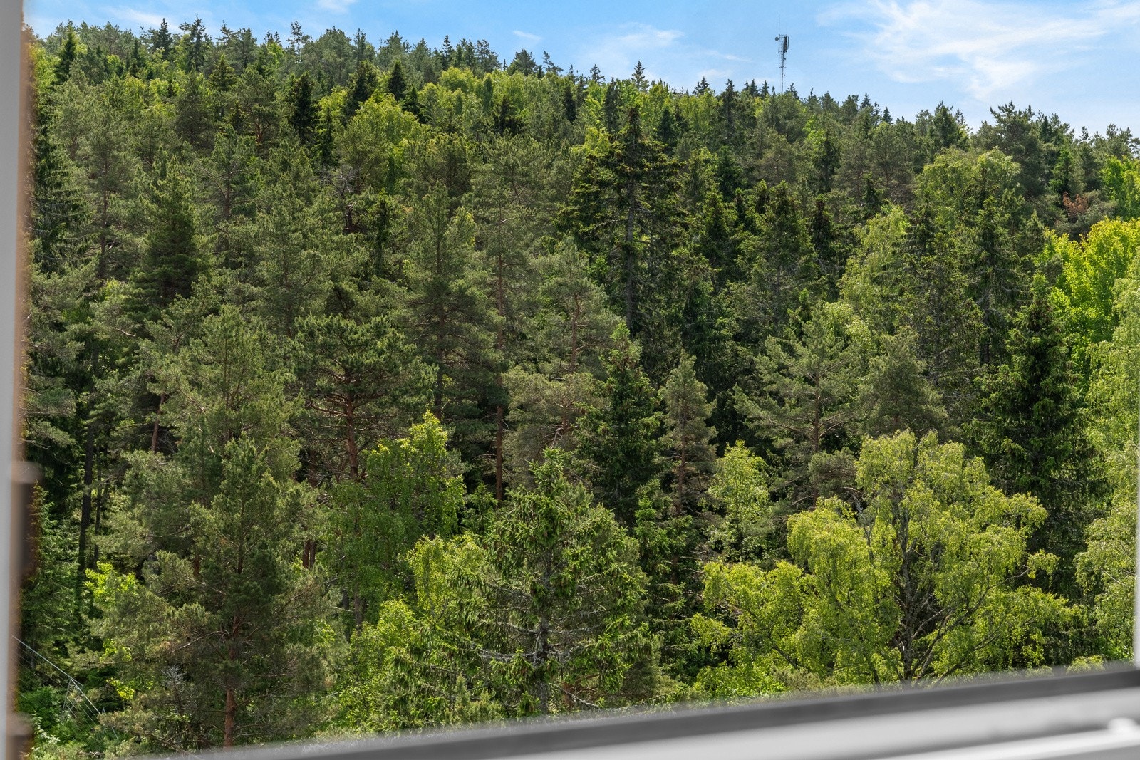 Utsikt fra kjøkkenet Galleribilde