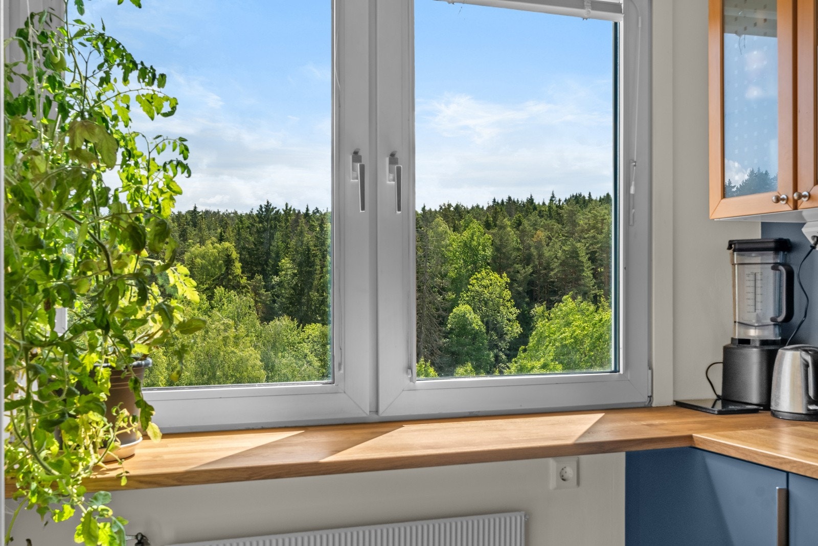 Hyggelig utsyn fra kjøkkenet med grønne omgivelser Galleribilde