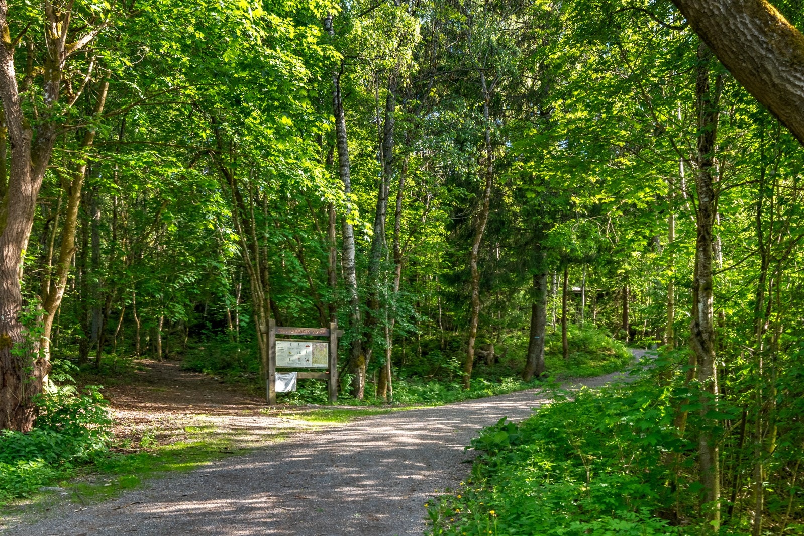 Østmarka er et populært friluftsområde som fungerer som nærskog for innbyggerne på Haugerud og Trosterud i Oslo. Området byr på et variert turterreng med turstier, sykkelruter og lysløyper, og er et viktig rekreasjonsområde for både barn Galleribilde