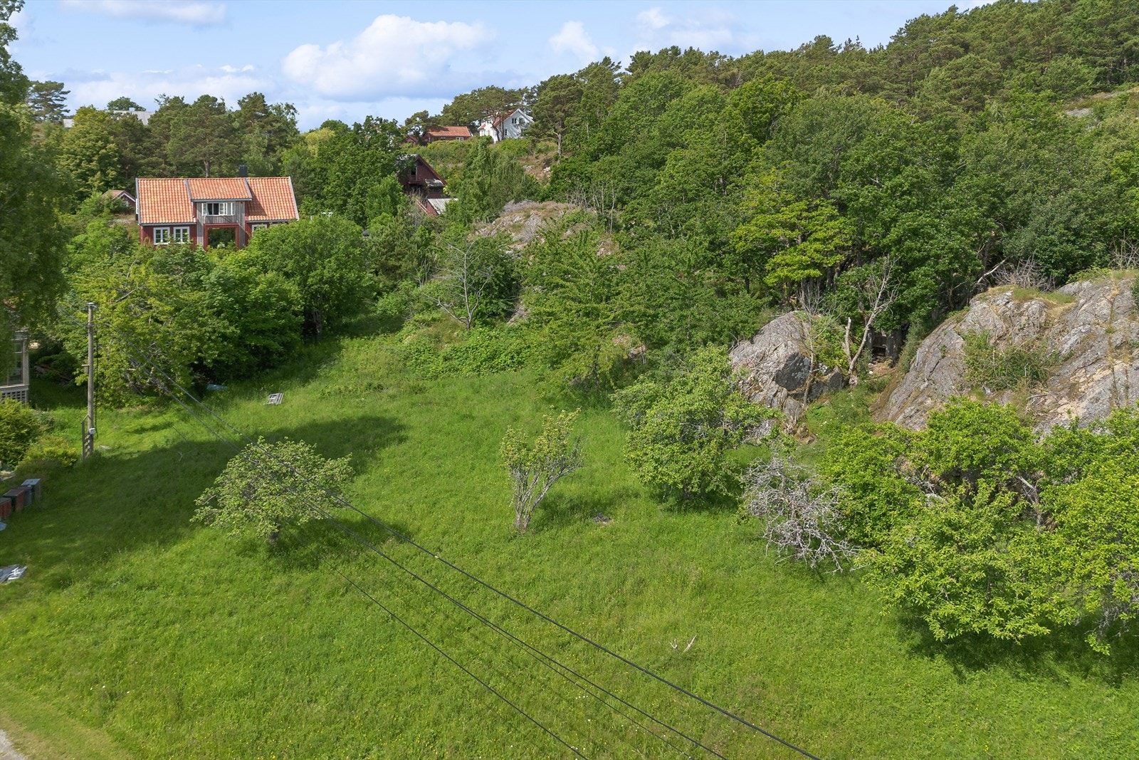 Frodig område som strekker seg langt opp i åsen Galleribilde