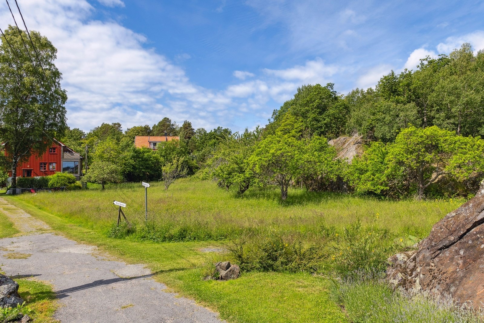 På Sandøya er det nesten ingen biler. Øya har omtrent 7 kilometer med sjarmerende, gammeldagse bygdeveier ideelle for sykler, trillebårer og små traller. Galleribilde