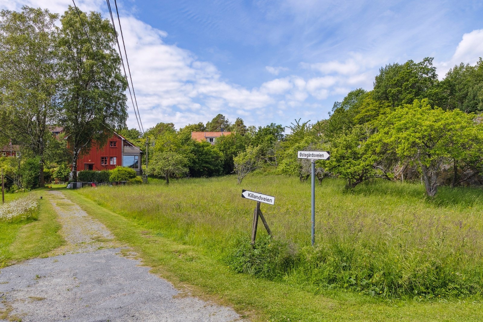 Dette er en idyllisk tomt på ca 10 mål, i tillegg har man en skogteig på litt over 20 mål, samt en andel av holmer i skjærgården. Galleribilde