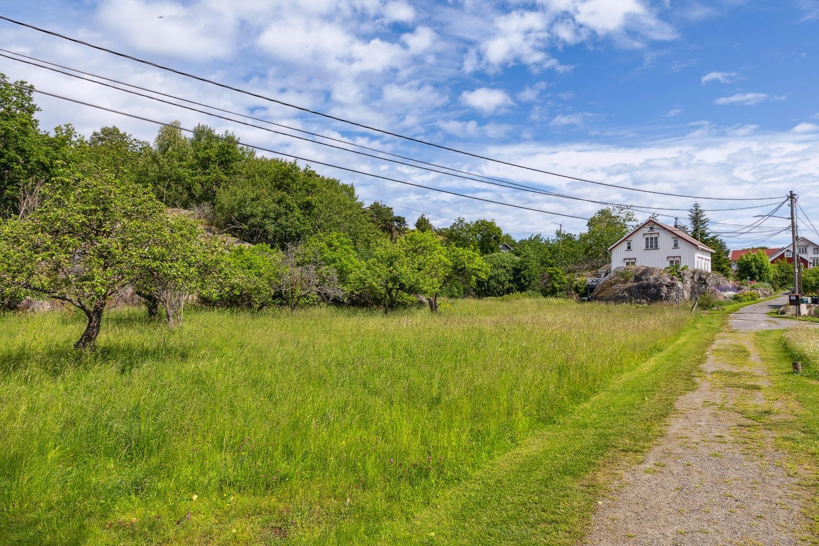 Deler av "Hammene" ligger på tomten Galleribilde