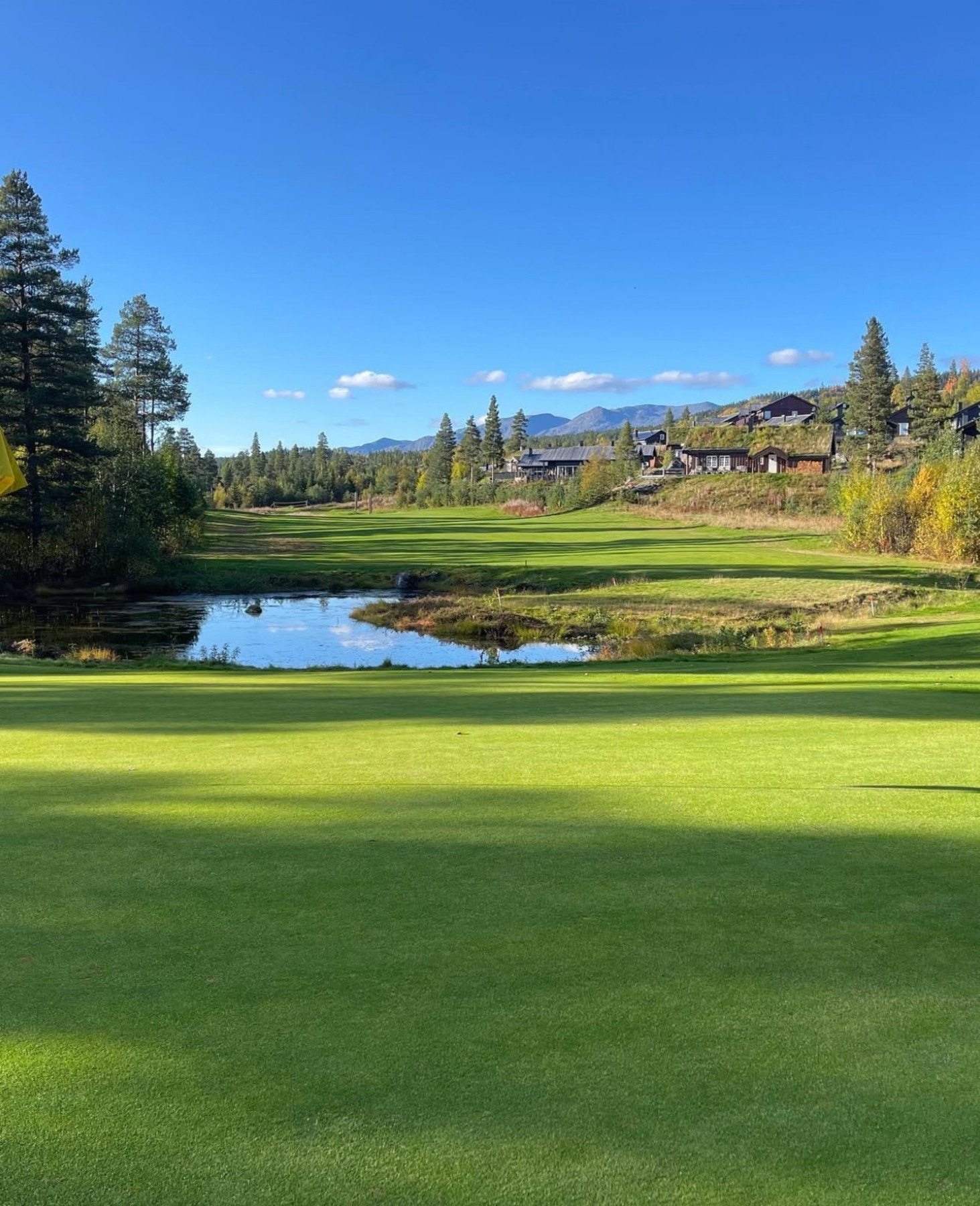 Fotokrediter: Lillian Iversen Galleribilde