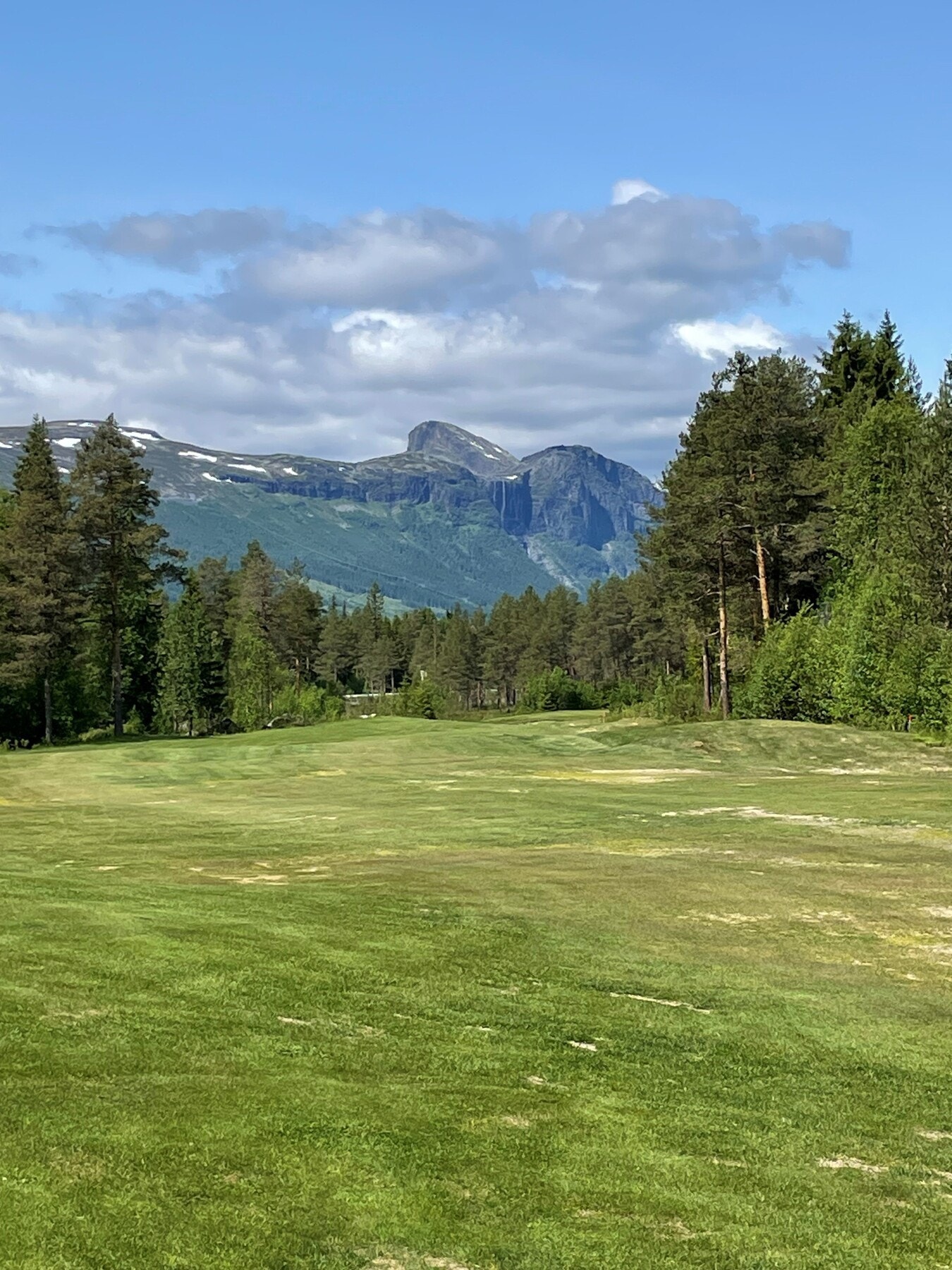 Selgers bilde. Galleribilde