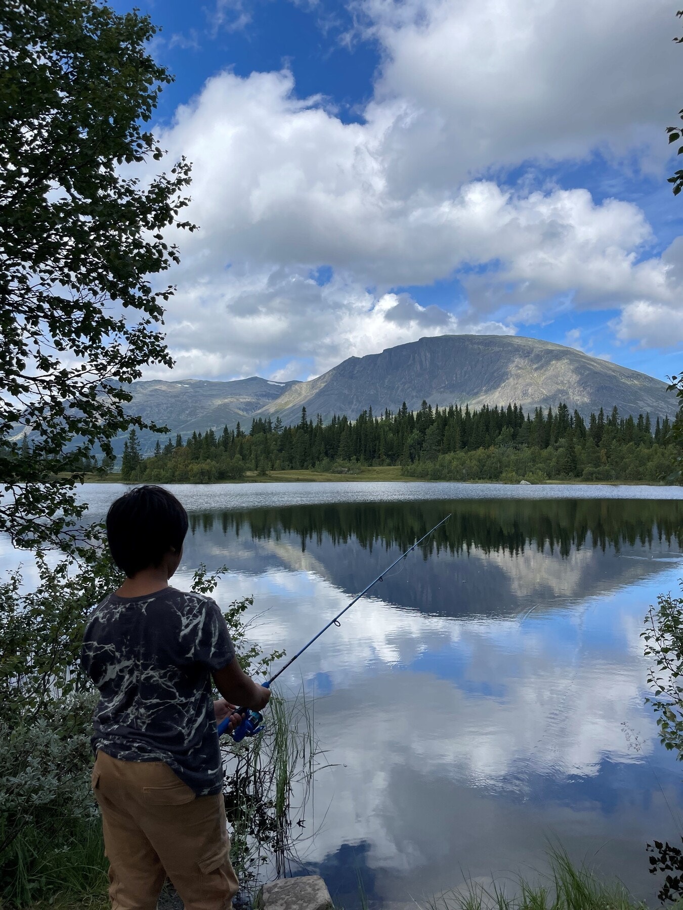 Selgers bilde. Galleribilde