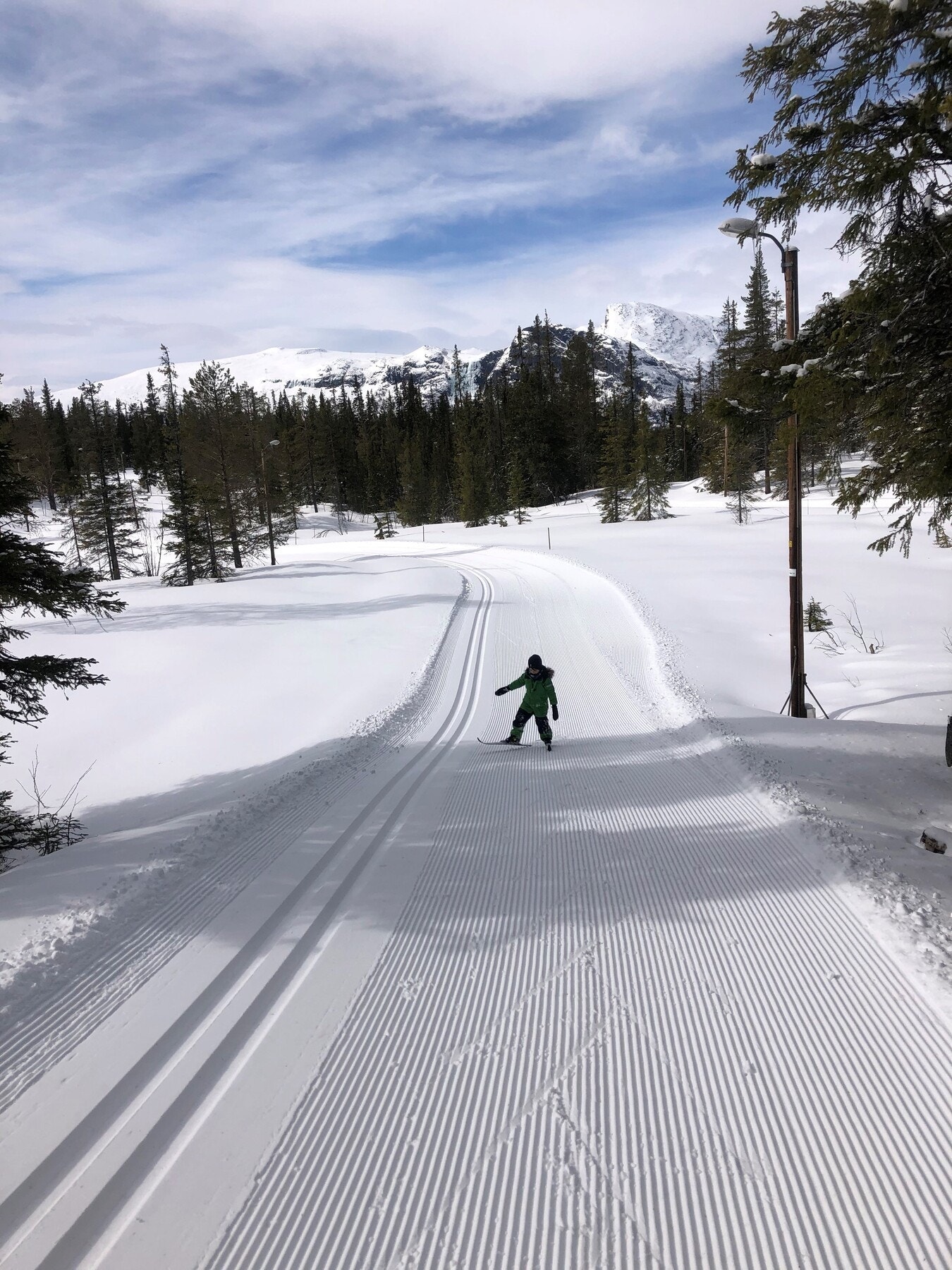 Selgers bilde. Galleribilde