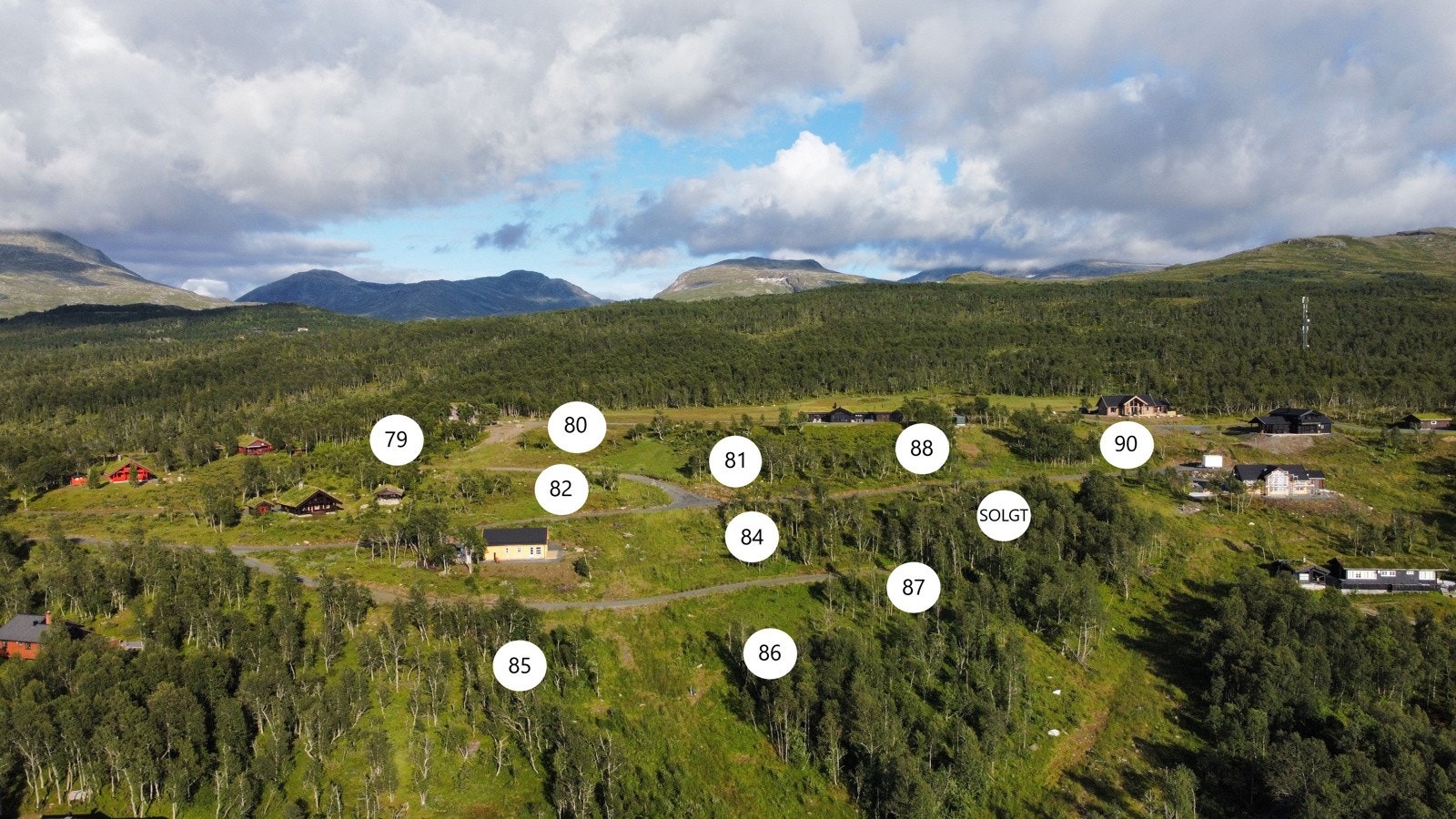 Mellomveien mot Skarsfjella Galleribilde