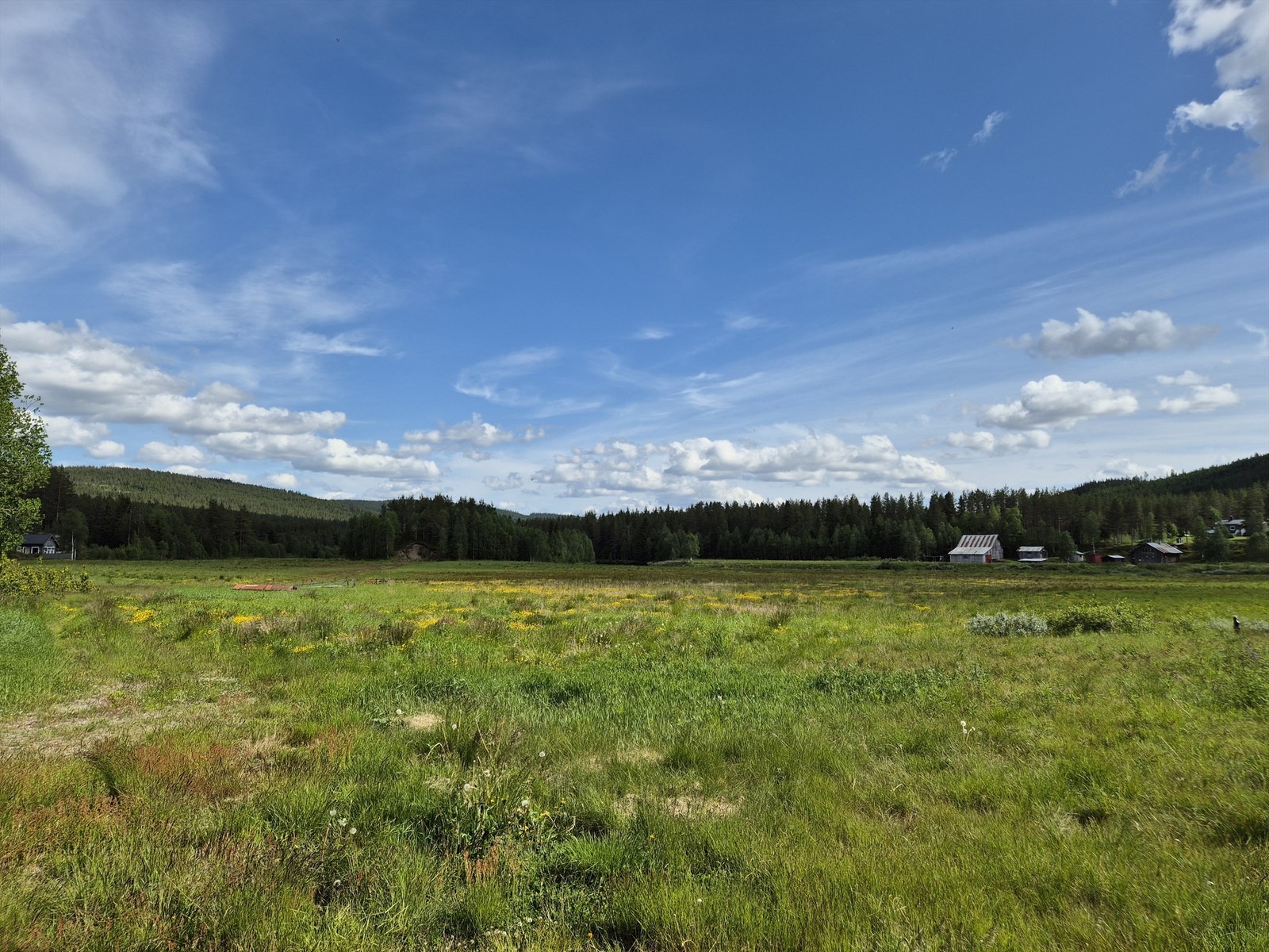 Flotte omgivelser Galleribilde