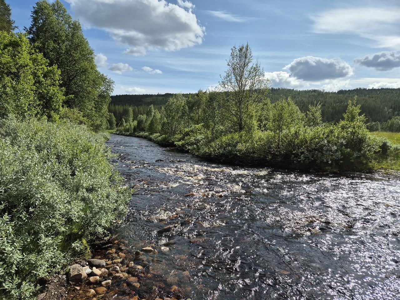 Åa sildrer igjennom eiendommen Galleribilde