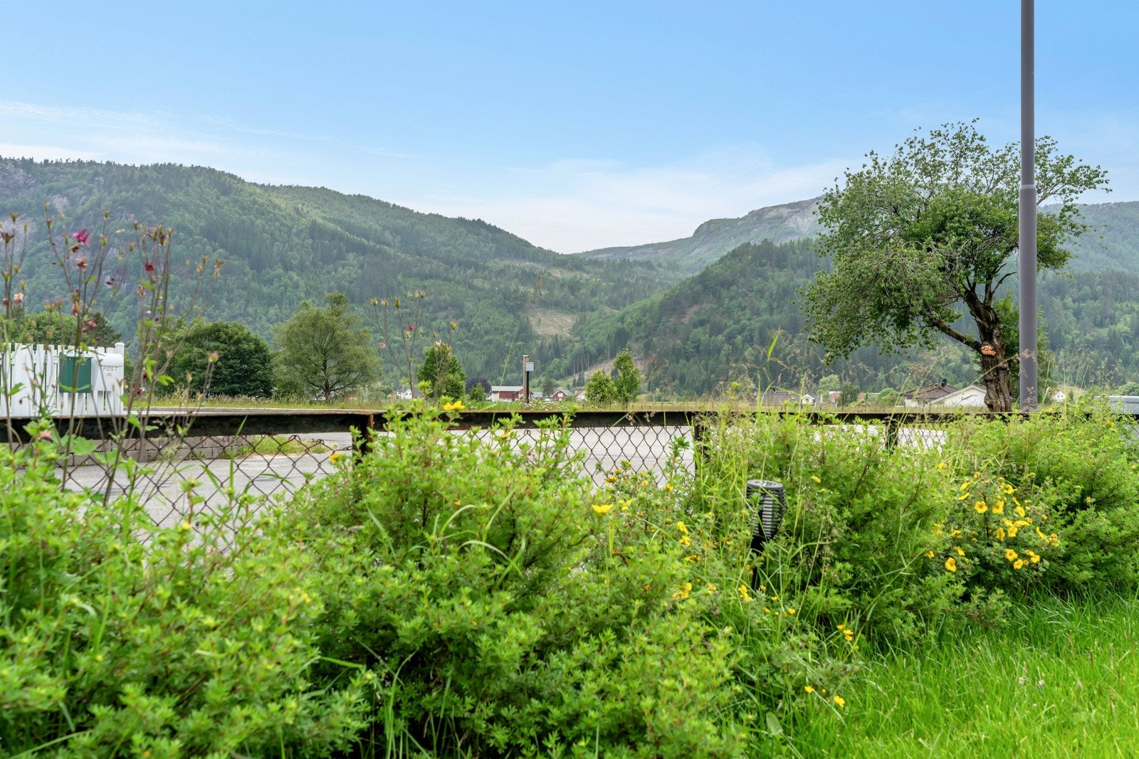 Nydelig utsikt mot fjellene Galleribilde