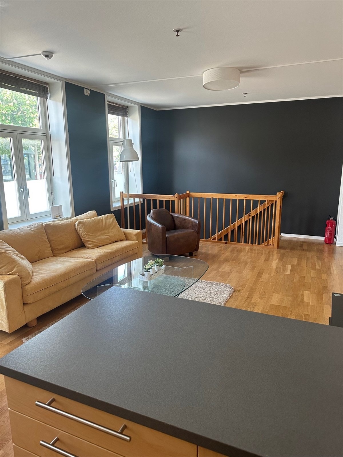 Selgers egene bilder Galleribilde