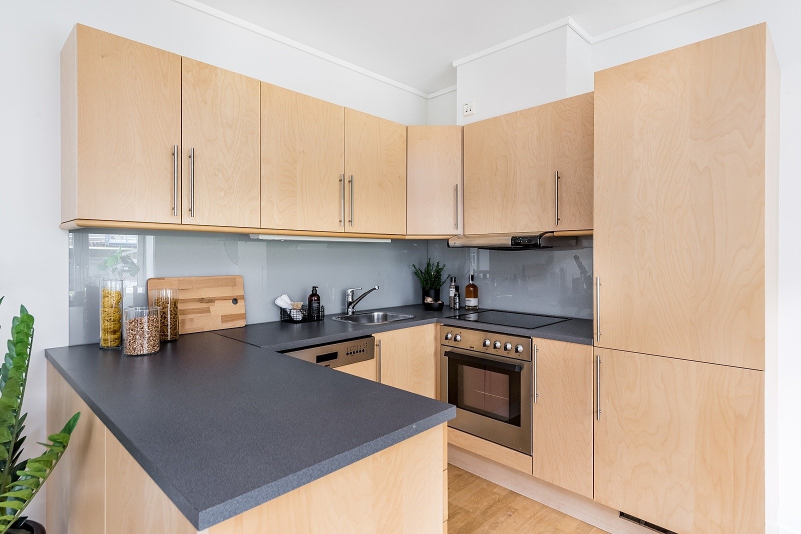 Kjøkkenet er utstyrt med integrert kjøle-/fryseskap, platetopp, stekeovn og oppvaskmaskin Galleribilde