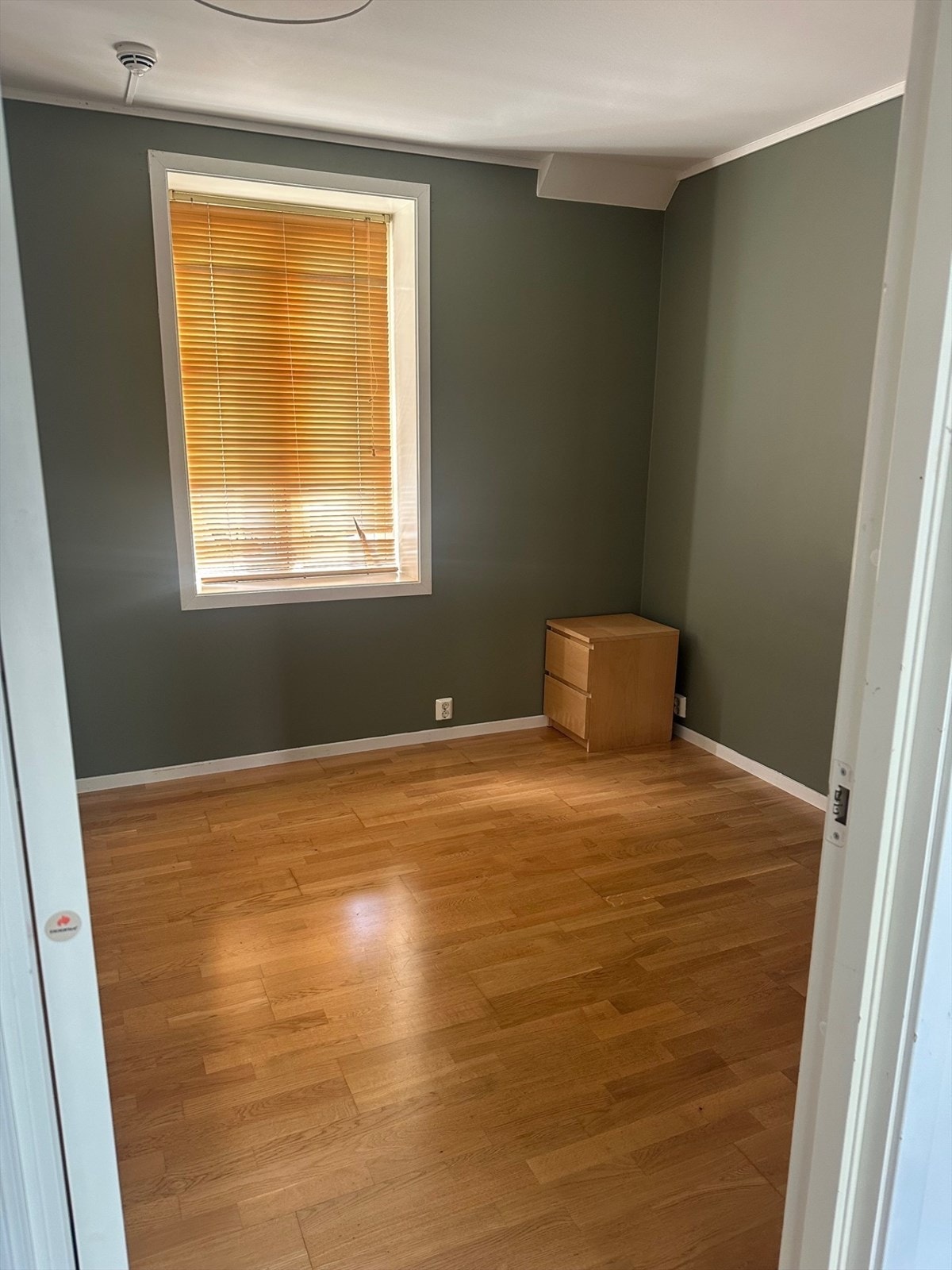 Selgers egene bilder Galleribilde