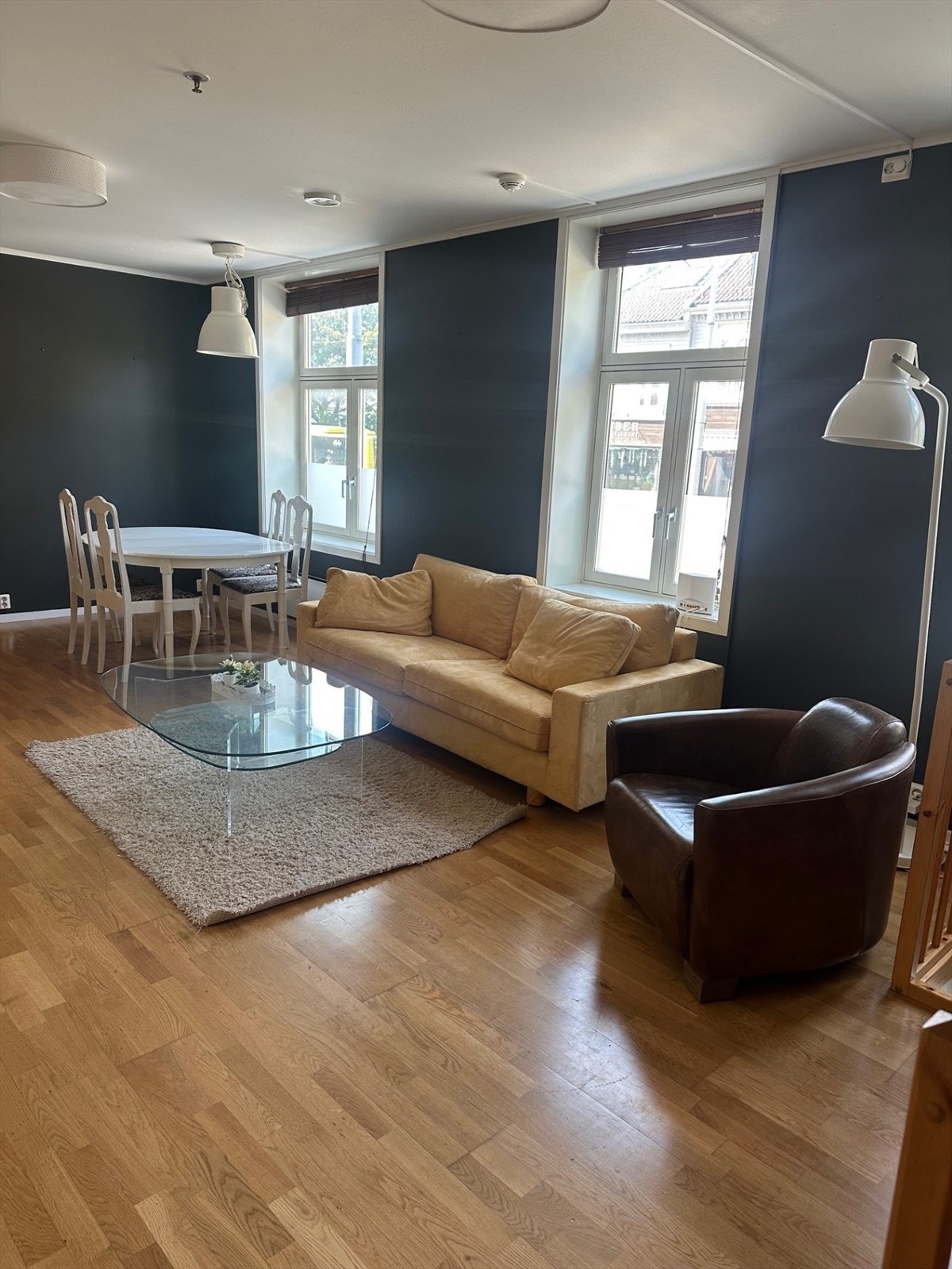 Selgers egene bilder Galleribilde