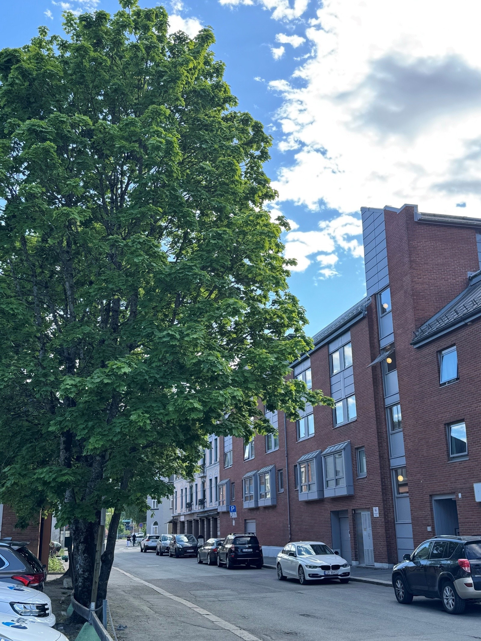 Trivelig gate meget sentralt i Drammen. Alt du trenger like utenfor døren. Galleribilde