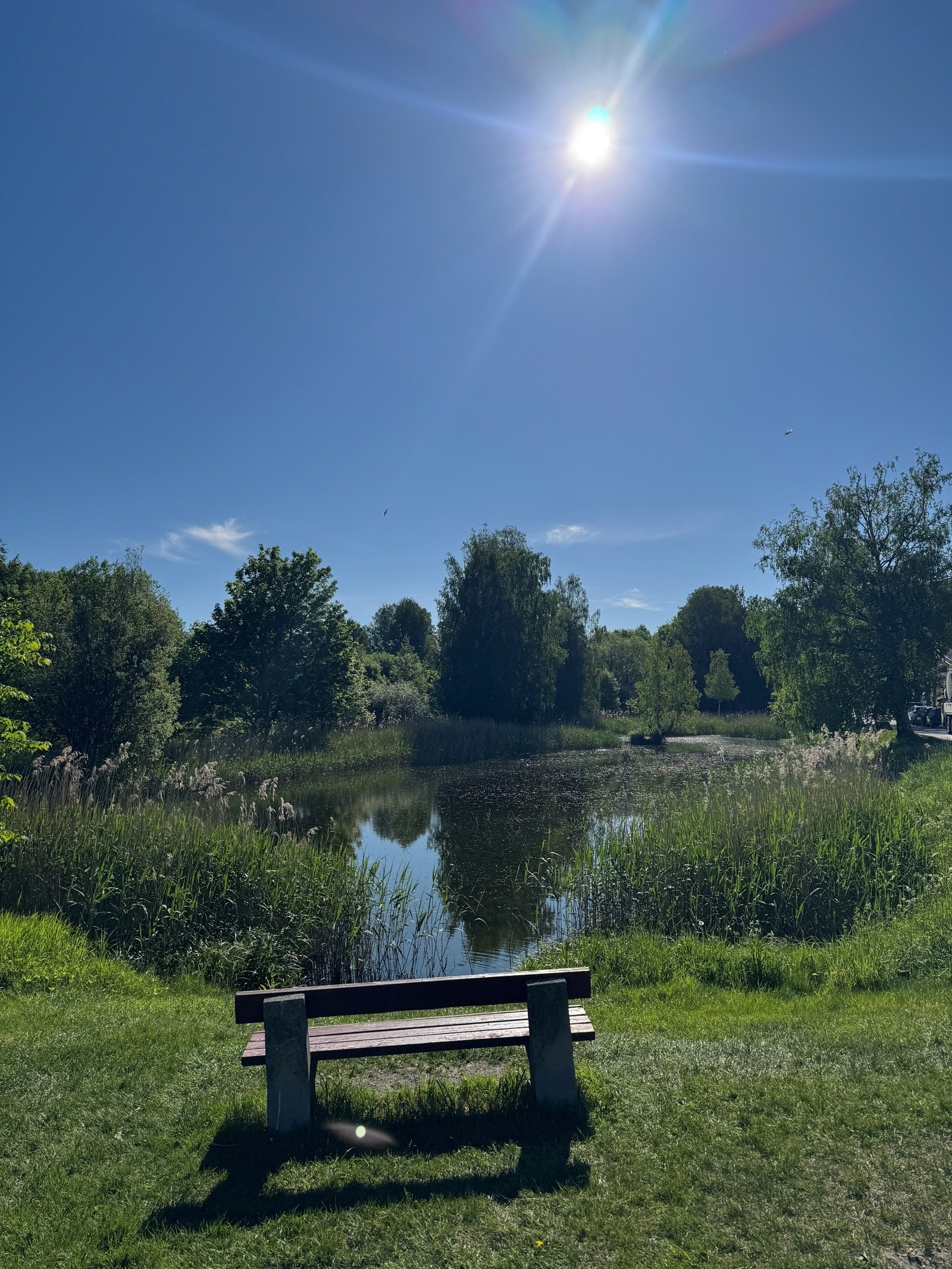 Bikkjestykket park ligger like i nærheten, her kan store og små leke og slappe av i grønne omgivelser. Galleribilde