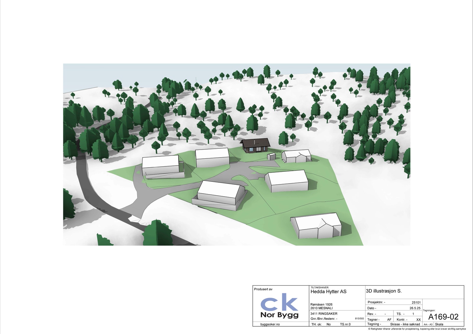 Fugleperpektiv fra vest Galleribilde
