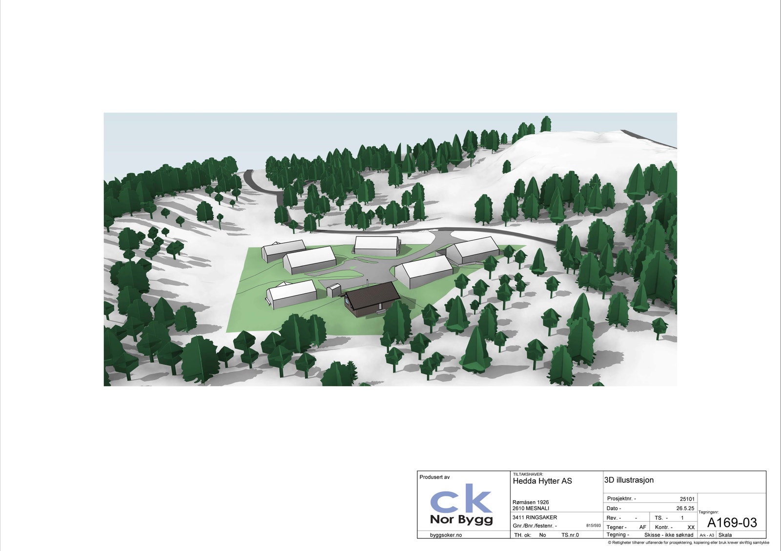 Fuglepepektiv fra øst Galleribilde