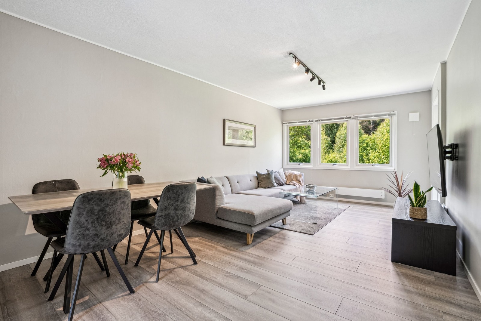 Romslig stue med naturlig lysinnslipp Galleribilde