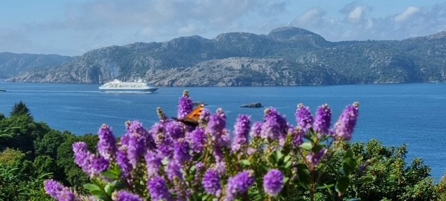 Cruisebåt på vei inn Flekkefjord - Selgers foto Galleribilde