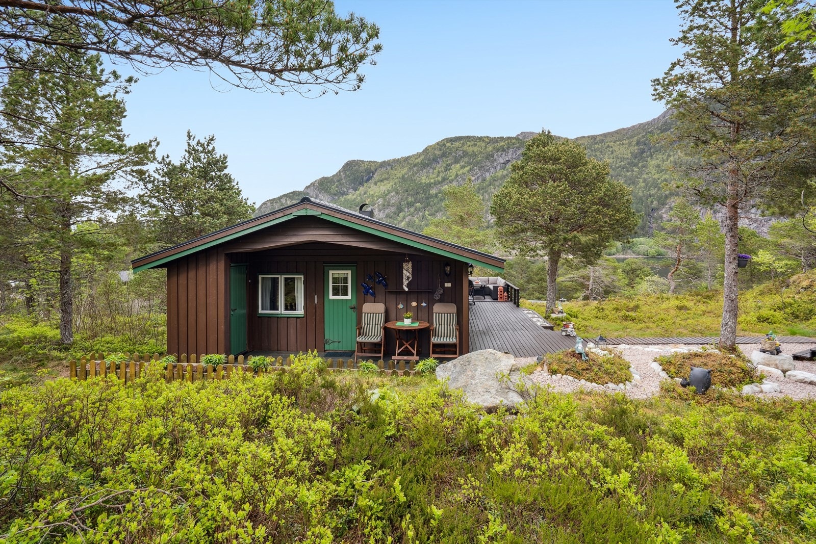 Naturtomt med mye grønne vekster. Galleribilde