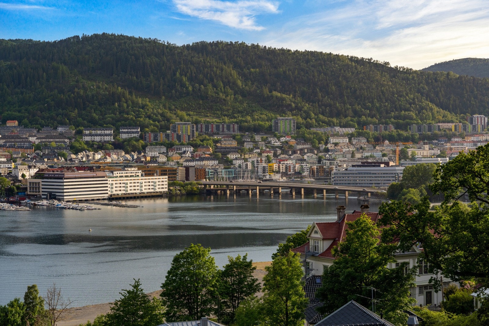 - Nydelig utsikt over nærområdet og ned til Store Lungegårdsvannet, utsikt over den kommende bystranden - Galleribilde