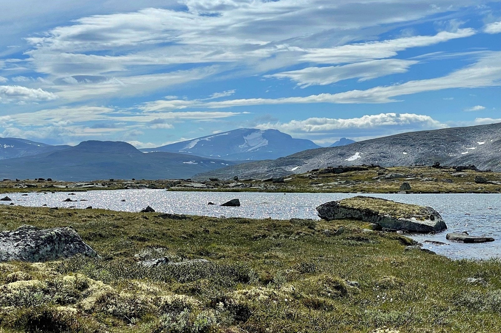 I vårt eget natureldorado Dovrefjell-Sunndalsfjella nasjonalpark (Foto: privat) Galleribilde