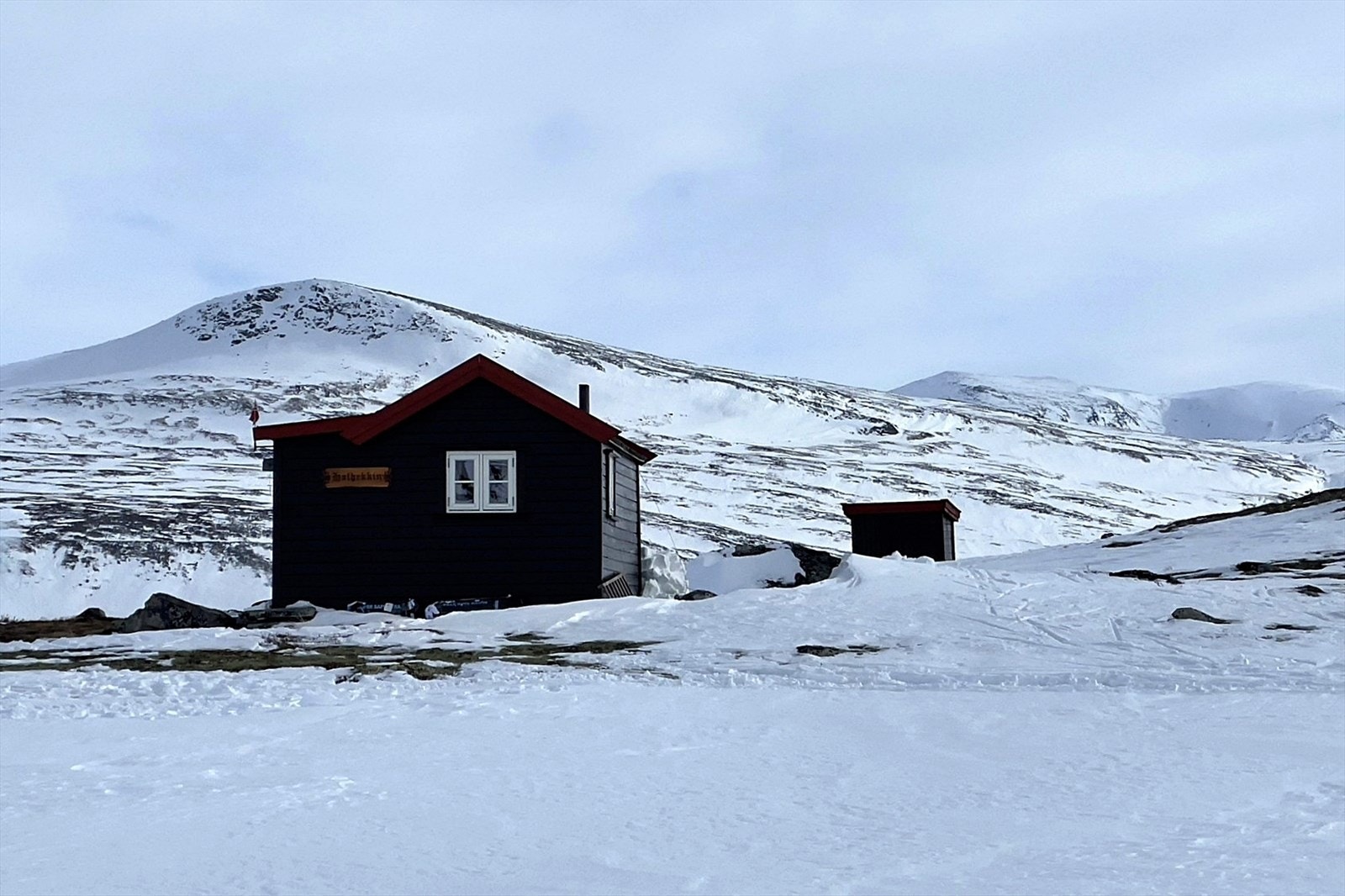 Det våres i fjellet (Foto: privat) Galleribilde