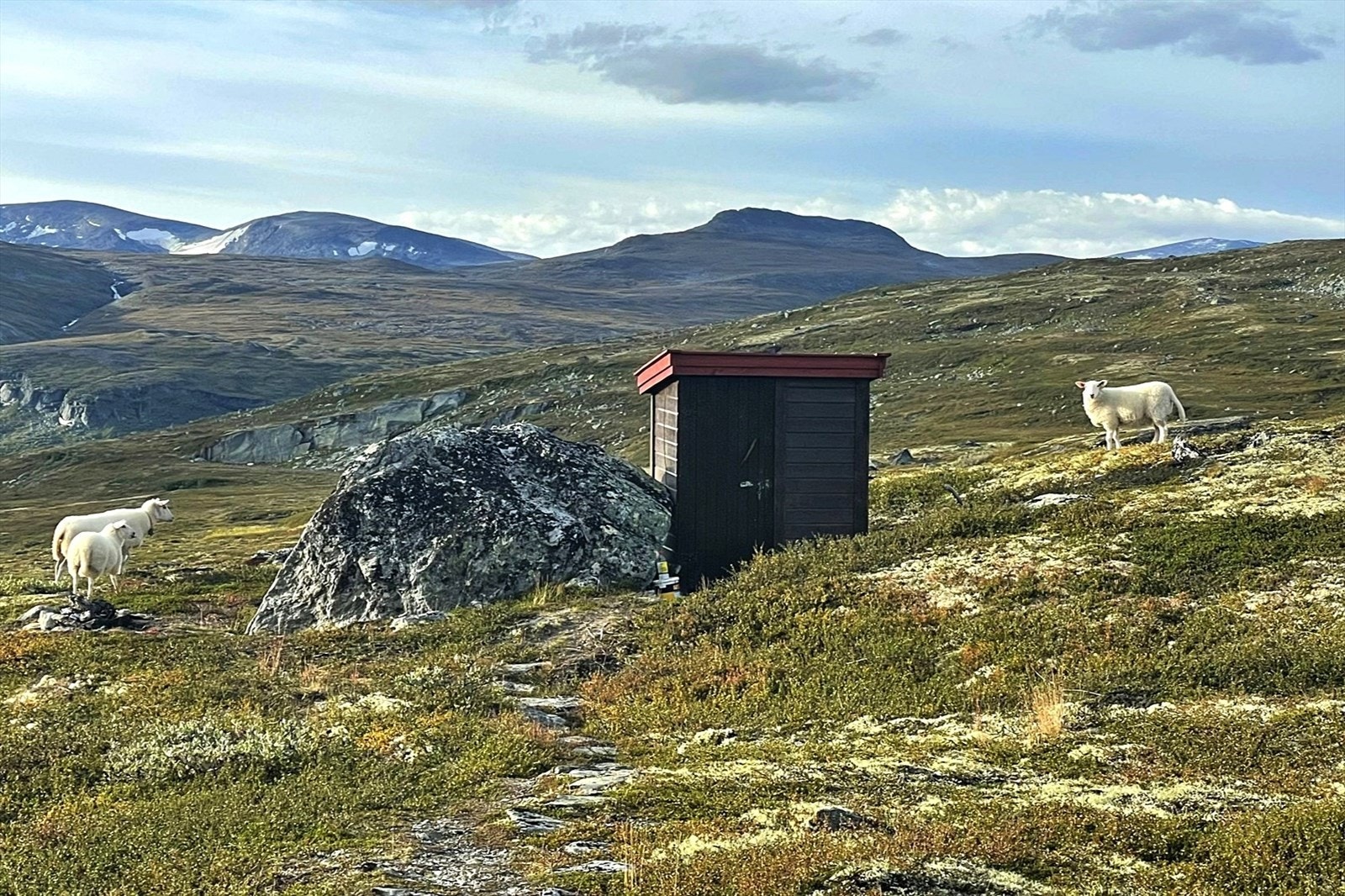 Kø kan forekomme... (Foto: privat) Galleribilde