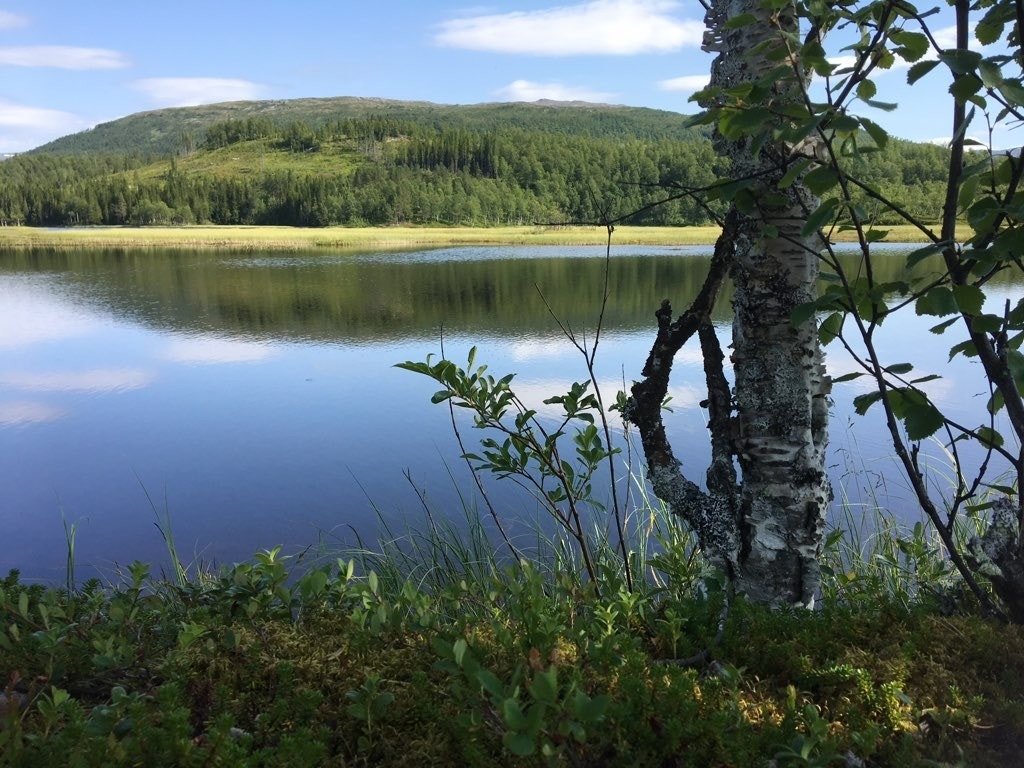 Fuglvatnet - privat bilde Galleribilde