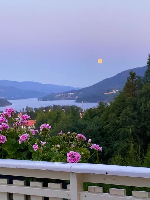 Selgers sommerbilder Galleribilde