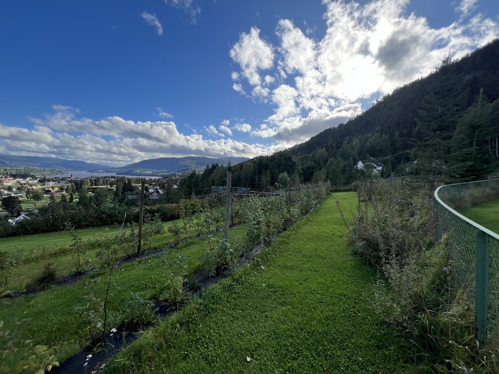 Nydelig utsikt fra store deler av eiendommen. Her opparbeidet med en del rips-solbær-stikkelsbær og en rad med drueplanter, i tillegg til rekker med bringebær. Her er også plomme- og epletrær, morell og kirsebærtrær. Galleribilde