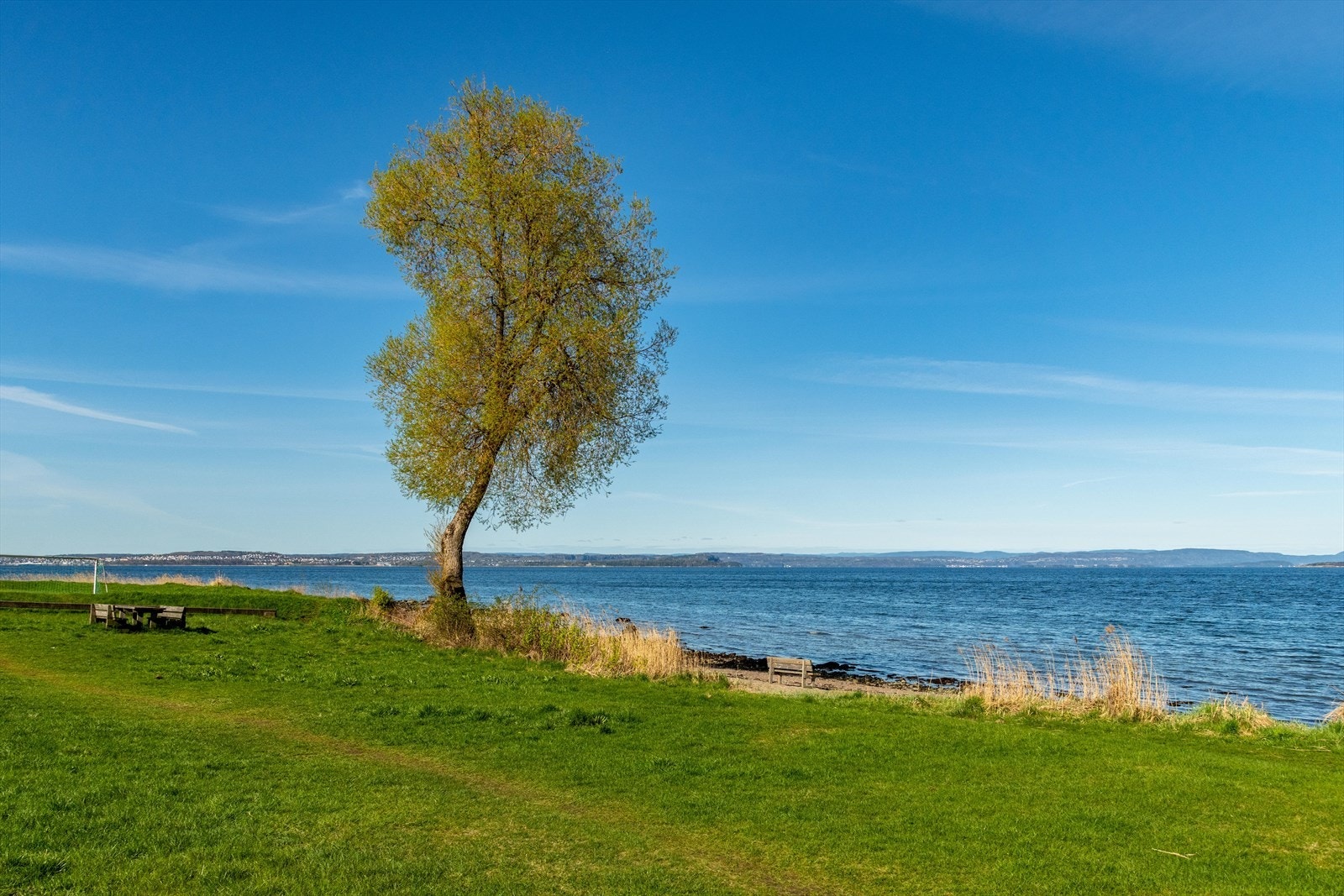 Nærområdet Galleribilde